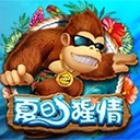 Www.yaxin323.com
